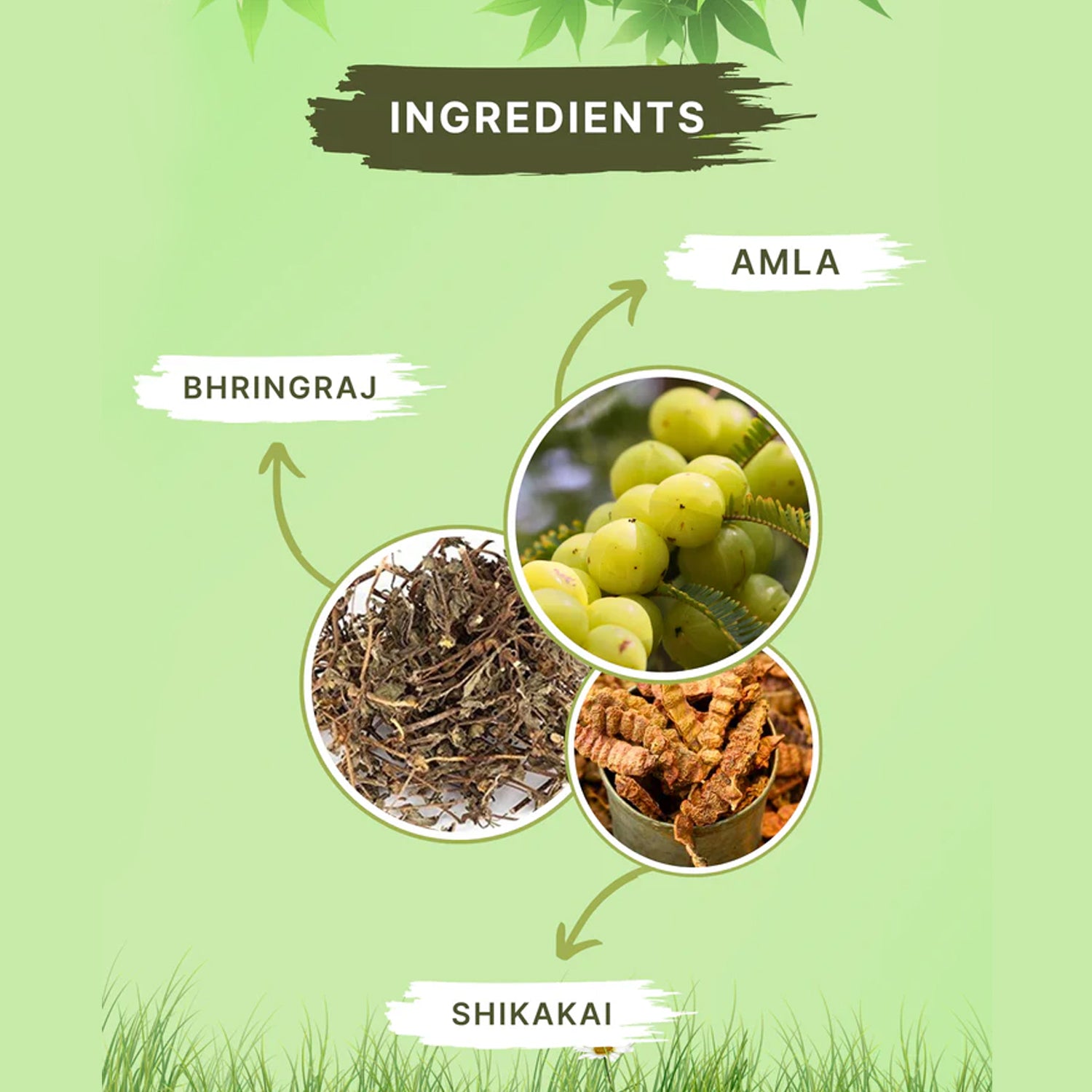 Zequz Anti Hair Fall Shampoo - (1 Pc 250ml)