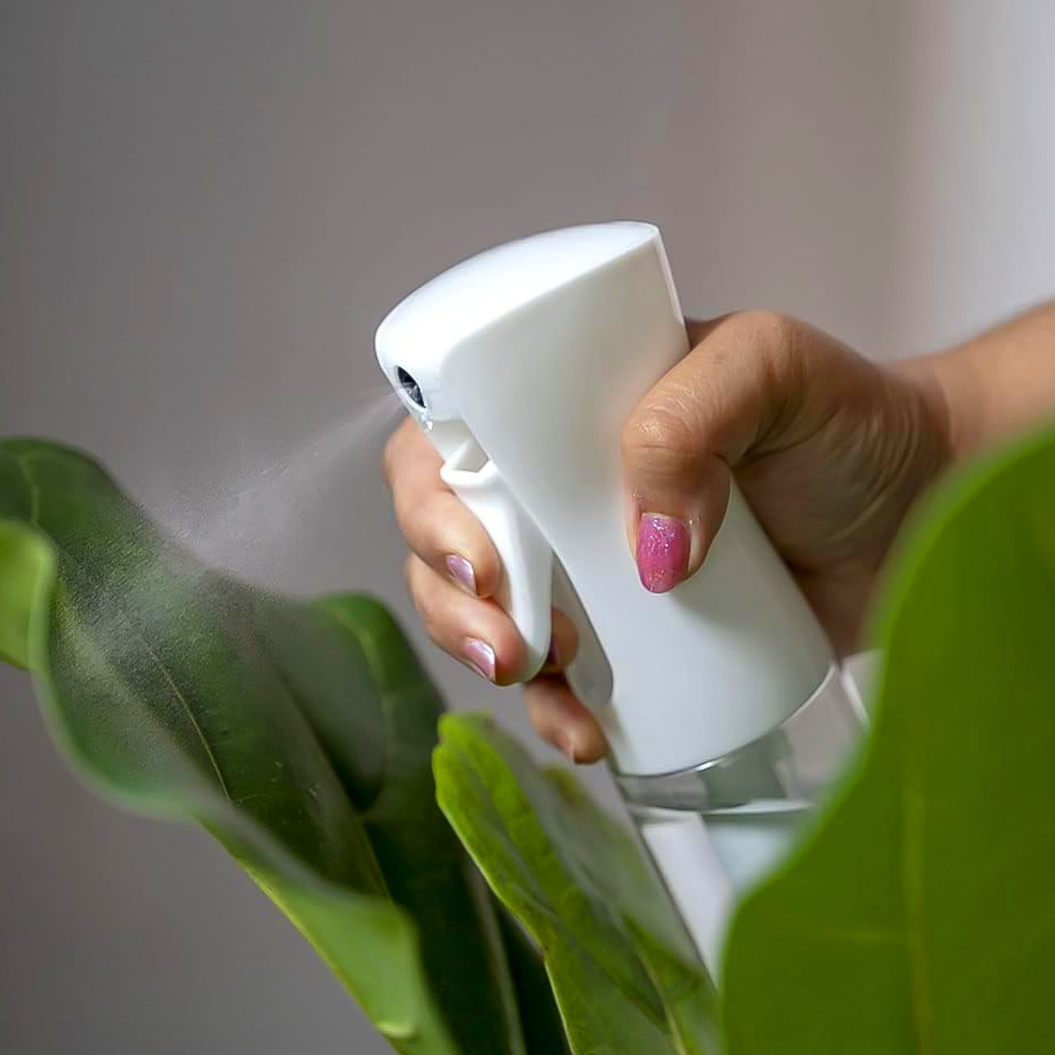 Glass Oil Spray Bottle - Versatile Kitchen Gadgets (250 Ml Approx  With White Box)